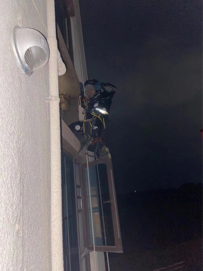 民生追踪丨困扰住户逾两月的马蜂窝被摘除啦