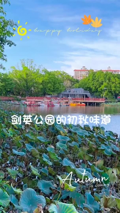 剑英公园里的浅浅秋意