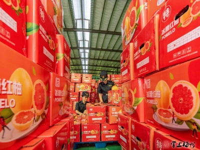 “零通报”“零退运” ！梅州海关助力大埔蜜柚香飘海外