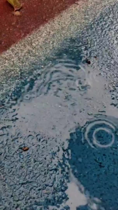 “海葵”过后的和风细雨