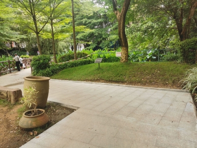 民生追踪丨蕉岭成桐公园“泥水路”已改善