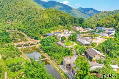 农旅融合打造好“钱”景！西阳镇积极探索新业态，走出乡村振兴新路子