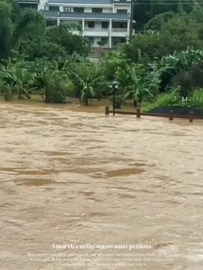 “受伤”的水美村