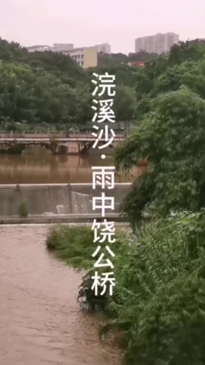 浣溪沙·雨中饶公桥