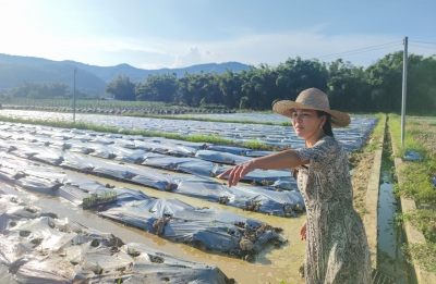 丰富乡村新业态，融合发展促增收！看蕉岭这位“村长”如何做→