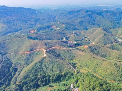 梅州两个单位入选2023年广东省巾帼油茶园名单