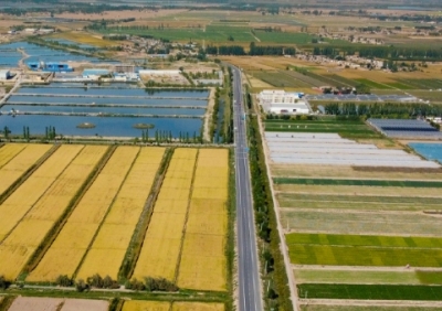 看图学习丨保障粮食安全 要在增产和减损两端同时发力