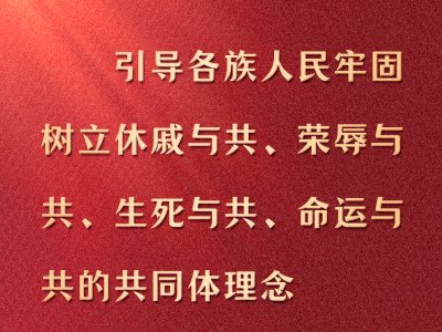 一图学习丨铸牢中华民族共同体意识，总书记这样强调