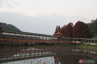 梅江区客都小学赖思宇丨走进泮坑