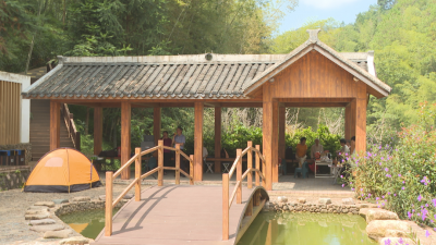 城乡美、产业兴、民幸福！蕉岭乡贤点赞家乡新发展