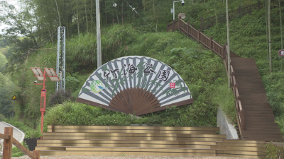 深耕绿富美！蕉岭致力打造绿美广东梅州样板的蕉岭示范