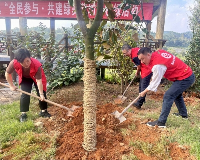 “植”此青绿 不负秋意！蕉岭县蓝坊镇组织开展“全民参与·共建绿美蓝坊”植绿行动