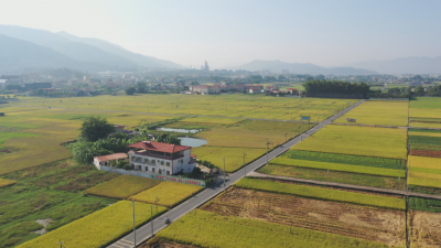 蕉岭：“一带示范”促全域 绘就乡村新画卷
