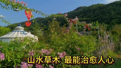 山水草木最能治愈人心