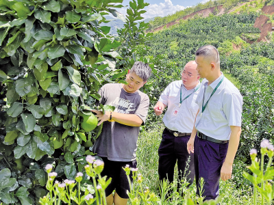 喜迎第六届世界客商大会系列报道丨金融服务有温度 实体振兴有力量！邮储银行梅州市分行主动靠前服务全力助推高质量发展