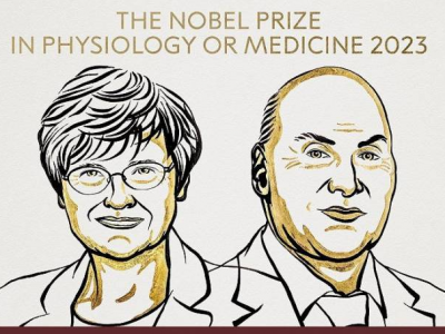 2023年诺贝尔生理学或医学奖揭晓！