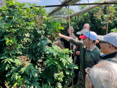 科技下乡，服务三农！梅州市老科技工作者助力梅州乡村振兴发展