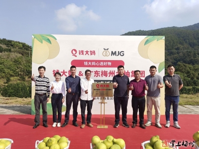 走向更大市场！梅州柚与钱大妈合作揭牌