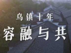 第一视点丨乌镇十年 容融与共