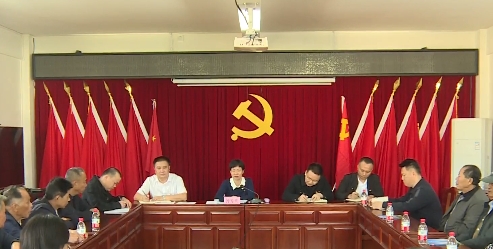 钟秀堂到西阳镇开展软弱涣散基层党组织排查暨理论宣讲工作