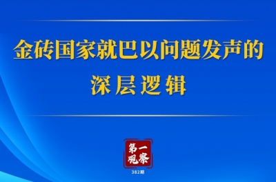 第一观察丨金砖国家就巴以问题发声的深层逻辑