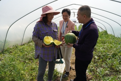 梅州市各级纪检监察机关强化系统观念，不断提升治理效能