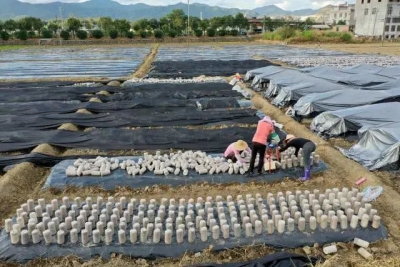 神十六返程，“蕉岭菌”曾跟随其飞天