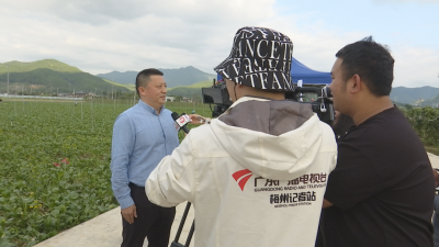 中央、省、市主流媒体采访团到蕉岭开展主题采访