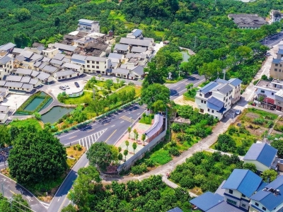 喜讯！广东省森林城镇，梅州+2