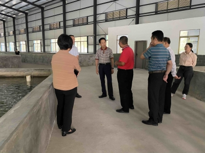 马志元到梅江区开展专题调研：高质量推动现代农业产业园建设