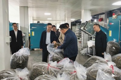 陈元星到兴宁市调研挂点联系相关工作：发挥优势履职尽责 凝聚合力服务发展