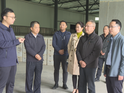 广州市科技局调研组到蕉岭调研乡村振兴驻镇帮镇扶村工作