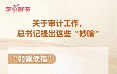 学习时节｜关于审计工作，总书记提出这些“妙喻”