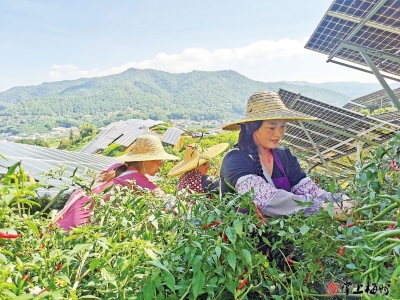 第六届世界客商大会系列报道丨广东峡能新能源科技有限公司大埔峡能100MW农光互补项目全力推动“三产”融合助力乡村振兴 ：“三产融合”促三赢 “农光互补”助振兴 