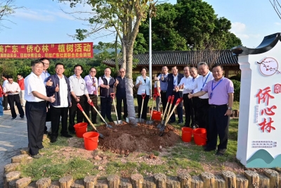 种下“侨心林”，凝聚侨胞情！他们为梅州大地再添新绿 