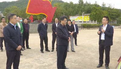 蕉岭县委常委会到新铺镇调研并召开会议：担当作为再出发，当好蕉岭实施“百千万工程”的“第一梯队”