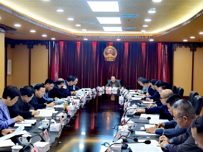 市人大常委会召开党组会议：提升人大工作质效 服务全市发展大局