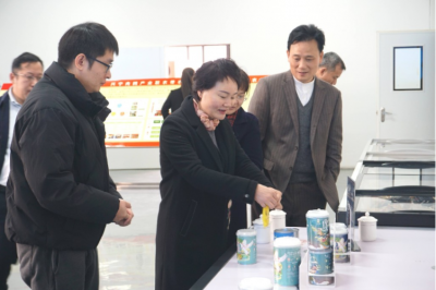 曾碧玉到兴宁开展“扶持本地企业与招商引资相结合，助推梅州实现高质量发展”专题视察