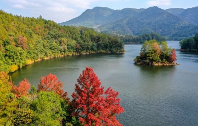 首批陆生野生动物重要栖息地名录公布！梅州这两地名列其中