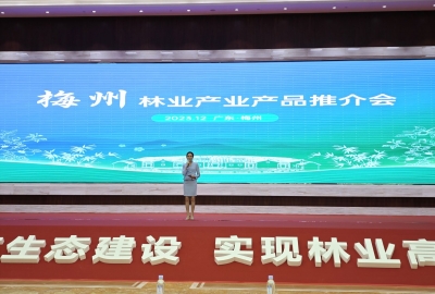 促进林产品展销对接！首届广东林业博览会梅州林业产业产品推介会举行