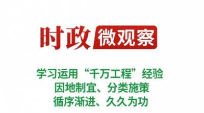 时政微观察丨推进乡村全面振兴是“三农”工作总抓手