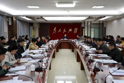 大埔县委常委会召开会议：认真学习贯彻习近平总书记重要讲话重要指示精神 以头号工程力度抓紧抓实“百县千镇万村高质量发展工程”