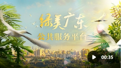 一平台三载体！绿美广东公共服务平台焕新上线