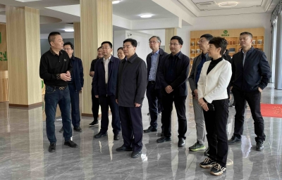 王荣率考察团来梅开展“汇聚港澳台同胞力量，同心助力乡村振兴”考察：汇聚更大力量推进乡村振兴  