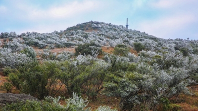 今日17时33分，我们迎来充满诗意的节气：大雪
