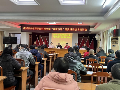 科技支撑“客家炒绿”，这场技术培训会在梅南镇举行