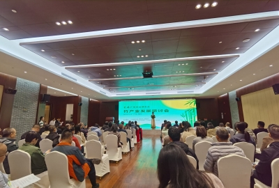 做“竹”文章！首届广东林业博览会竹产业发展研讨会举行