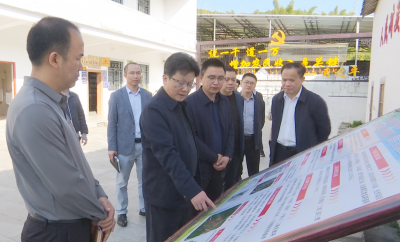 刘鸿涛到新铺镇调研督导“百千万工程”工作：因地制宜精准施策，打造独具特色的典型镇村