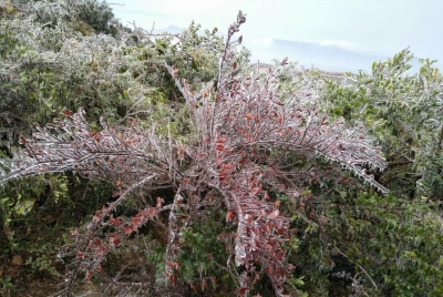 羽绒服下单了没？下周将进入“速冻”模式！或跌破10℃