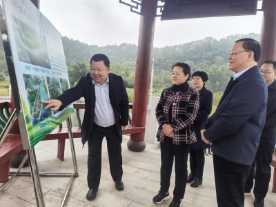 市人大常委会领导到定点联系的县镇调研督导“百千万工程”实施情况